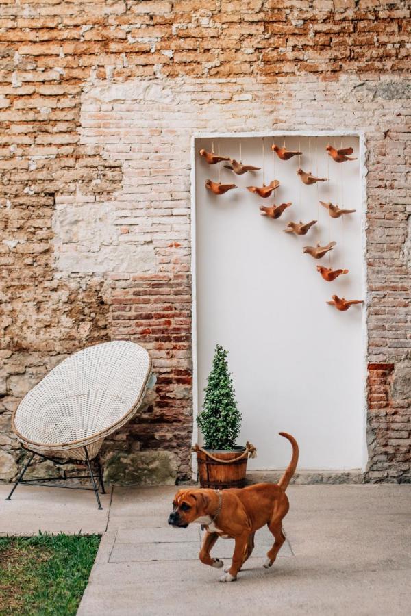 Hotel Tabaa Oaxaca Экстерьер фото